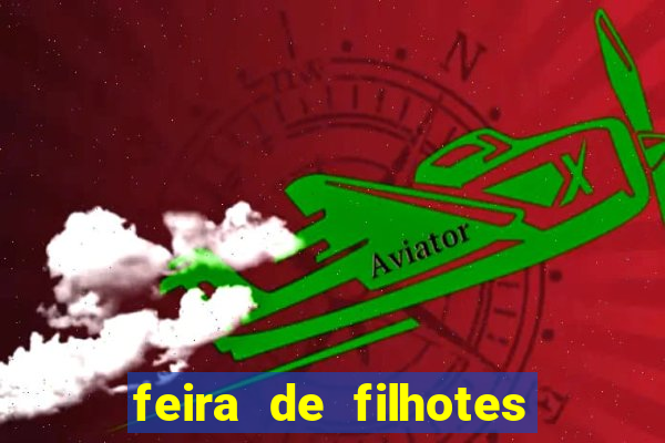 feira de filhotes porto alegre